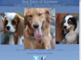 newcanaandogdays.com
