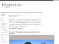 bambisana.org