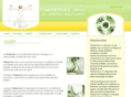 fisioservicegroup.com