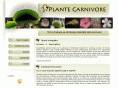 plantecarnivore.ro