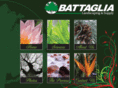battaglialandscaping.com
