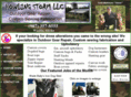howlingstorm.com