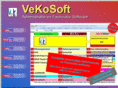 vekosoft.com