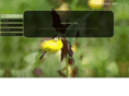 beducker.net
