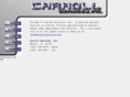 carrollservices.com