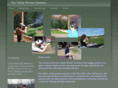 foxvalleywomenshooters.com