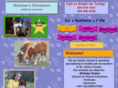 mariannsminiatures.com