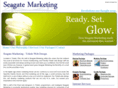 seagatemarketing.net