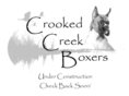 crookedcreekboxers.com