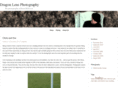 dragonlensphoto.com