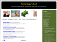 herniasurgerycost.net