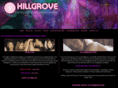 hillgrovedingle.com