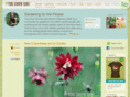 yougrowmag.com