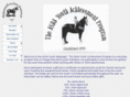 ashayouth.org