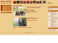 boroconcerts.com