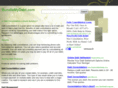 bundlemydebt.com