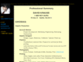 professionalsummary.com