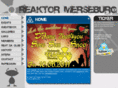 reaktor-merseburg.com