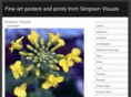 simpsonvisuals.com