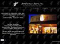 ambiencefursinc.com