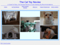 bestcattoyreview.com