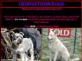 georgetowndogs.com