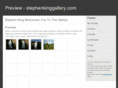 stephenkinggallery.com