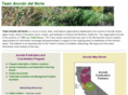 teamarundo.org
