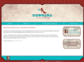 cowgirlconsulting.com