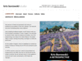 krisborowskistudio.com