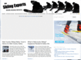 theskiingexperts.com