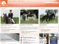 zallina.com