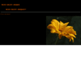 miss-daisy.org