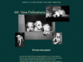 mtviewdals.com