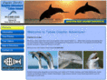 tybedolphins.com