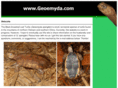 geoemyda.com