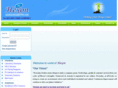 hexonlab.com
