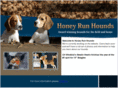 honeyrunhounds.com