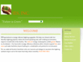 iesinc-usa.com