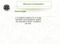 monfyshire.com
