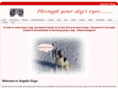 silvercoastangelicdogs.info