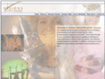 visionstucson.com