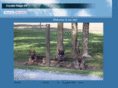 crystalridgek9.com