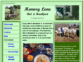 memory-lane-inn.com