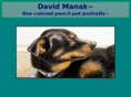 davidmanak.com