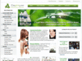 dephyzeshop.com