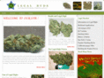 legalhighsuperstore.com