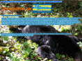ontariobear.ca