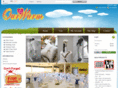 ourwarm.com