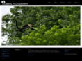 robbins-photography.co